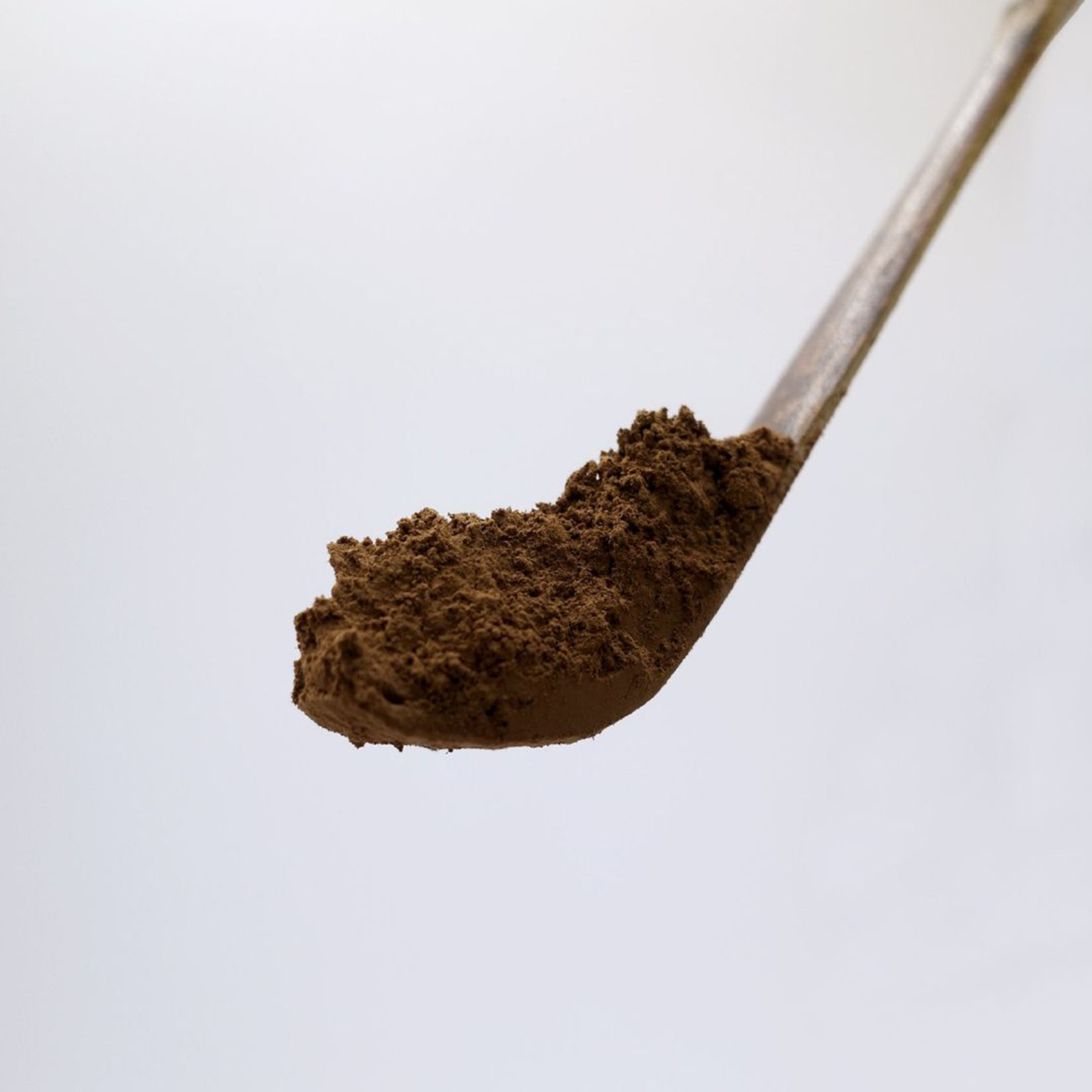 Japanese Hojicha | Roasted Green Tea | Low Caffeine & Gut Friendly