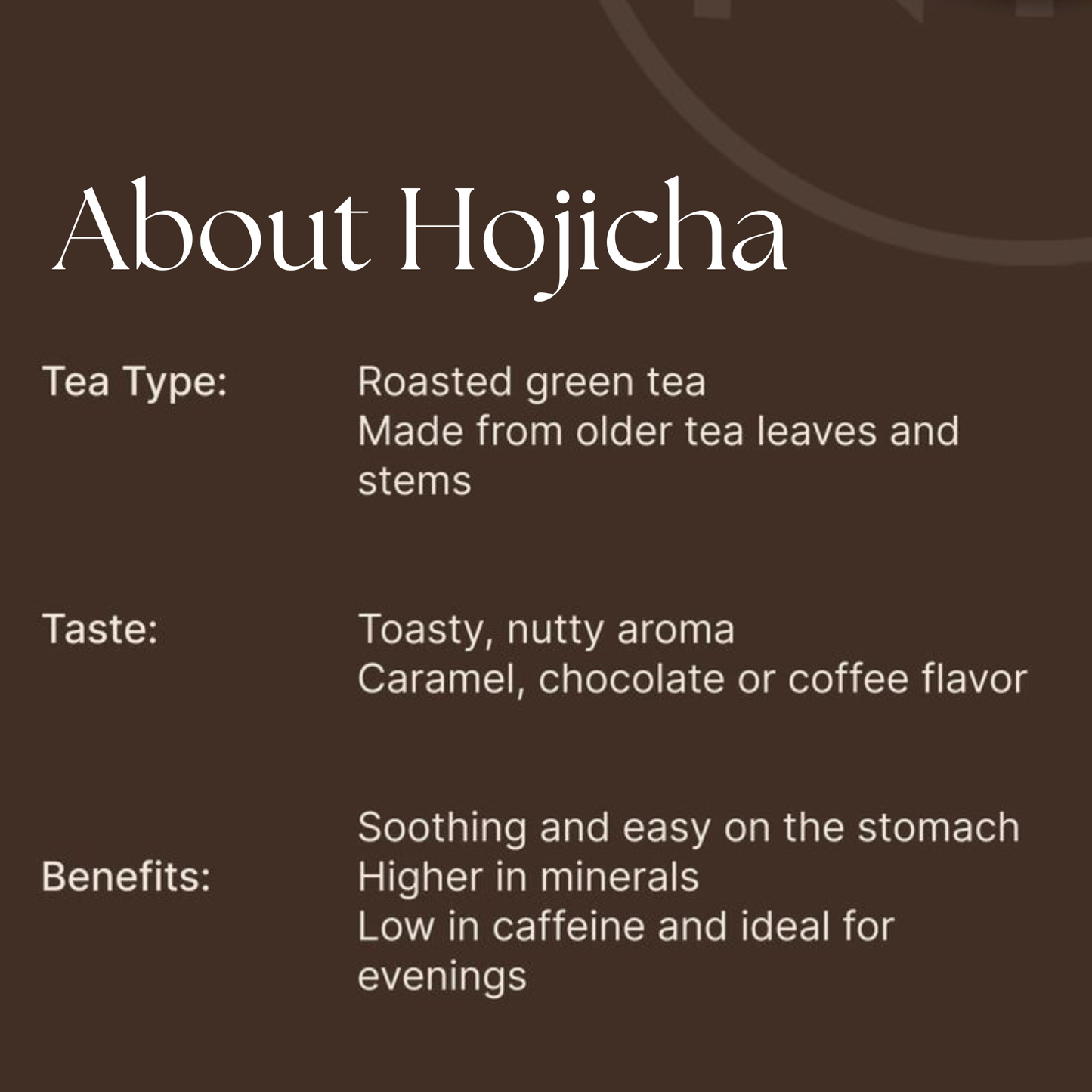 Japanese Hojicha | Roasted Green Tea | Low Caffeine & Gut Friendly